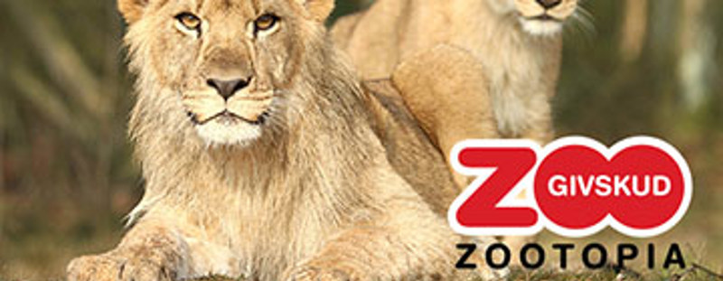 Givskud ZOO app lavet af CodeOptimus